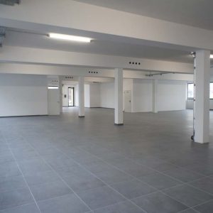 MA19-Halle-Flaeche-3