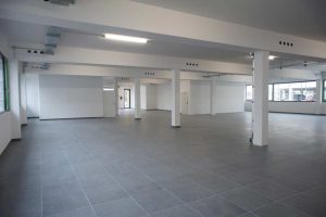 MA19-Halle-Flaeche-3